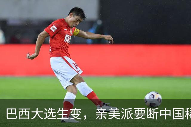 巴西大选生变，亲美派要断中国稀土？中国有张底牌，巴西不敢碰！