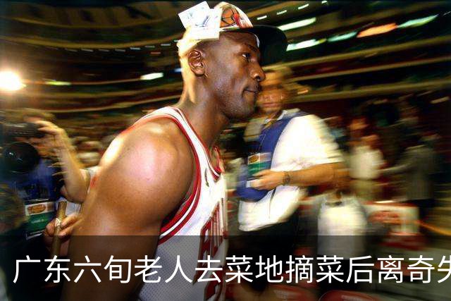 广东六旬老人去菜地摘菜后离奇失踪！结果竟在地下7米处被拉出……
